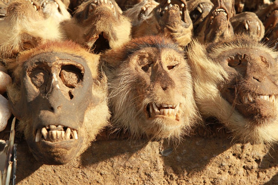 Четыре жутких колдовских рынка для истинных жрецов и настоящих ведьм оккультизм, колдовские рынки, магия, шаманы