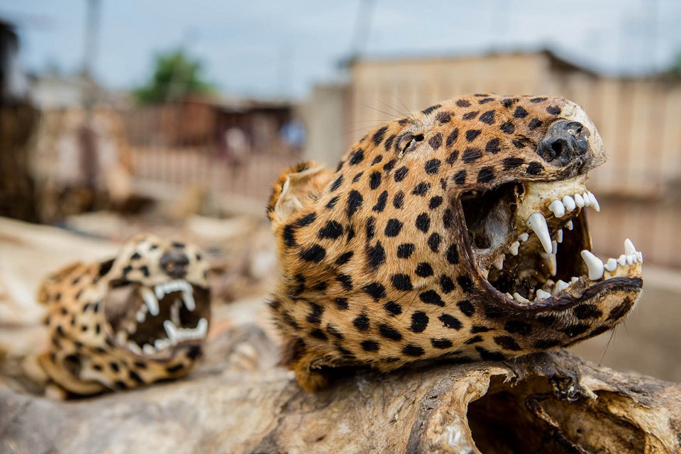Четыре жутких колдовских рынка для истинных жрецов и настоящих ведьм оккультизм, колдовские рынки, магия, шаманы