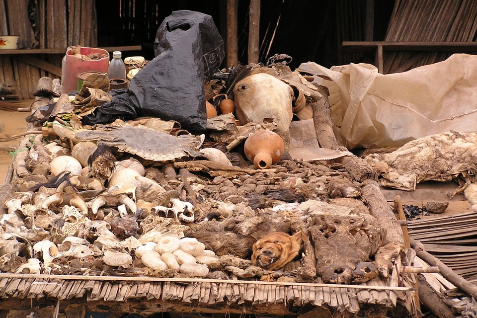 Четыре жутких колдовских рынка для истинных жрецов и настоящих ведьм оккультизм, колдовские рынки, магия, шаманы