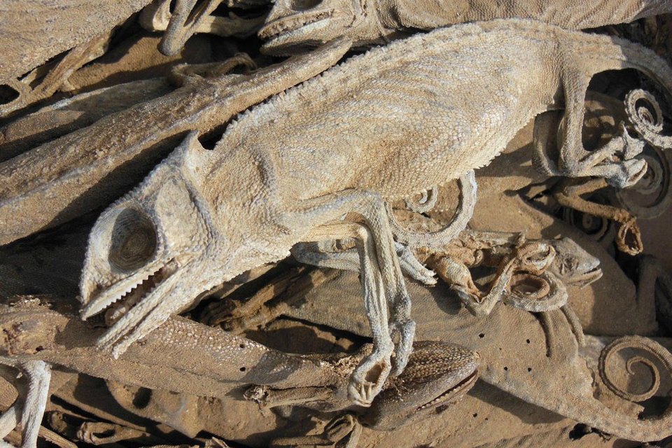 Четыре жутких колдовских рынка для истинных жрецов и настоящих ведьм оккультизм, колдовские рынки, магия, шаманы