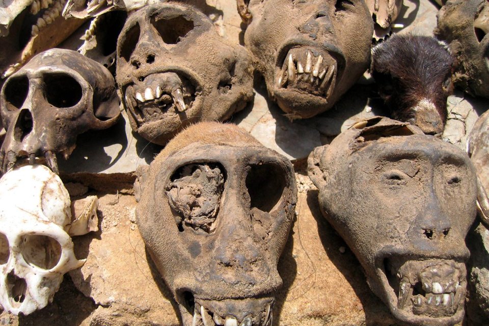 Четыре жутких колдовских рынка для истинных жрецов и настоящих ведьм оккультизм, колдовские рынки, магия, шаманы