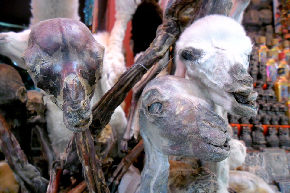 Четыре жутких колдовских рынка для истинных жрецов и настоящих ведьм оккультизм, колдовские рынки, магия, шаманы