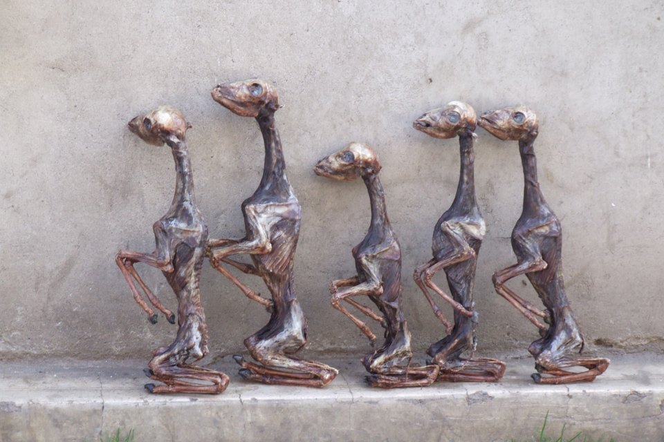 Четыре жутких колдовских рынка для истинных жрецов и настоящих ведьм оккультизм, колдовские рынки, магия, шаманы