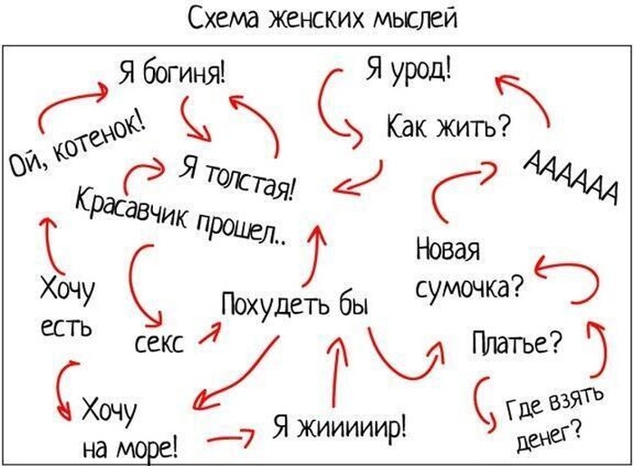 Позитив, юмор, смешные фотографии,прикол