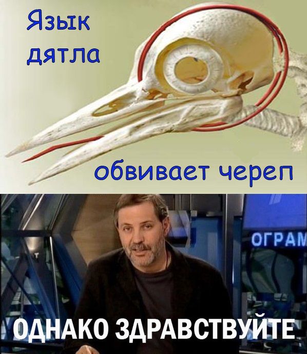 Позитив, юмор, смешные фотографии,прикол