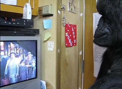 душа у животных, трогательные истории животные, животные доброте истории