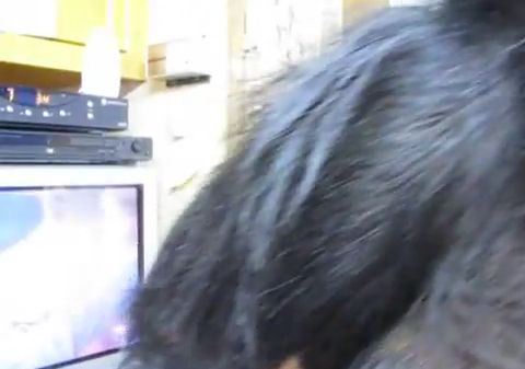 душа у животных, трогательные истории животные, животные доброте истории