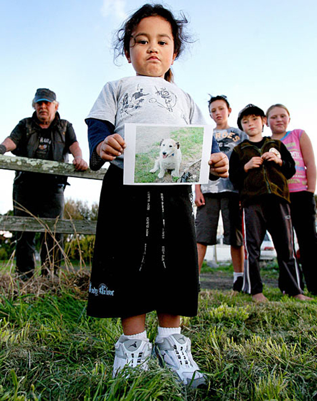 душа у животных, трогательные истории животные, животные доброте истории