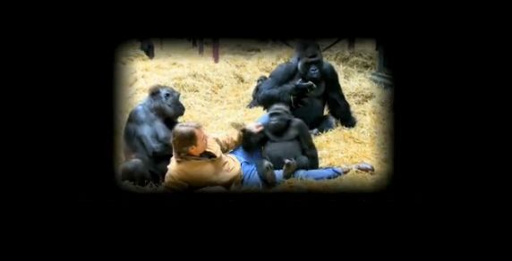 душа у животных, трогательные истории животные, животные доброте истории