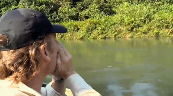 душа у животных, трогательные истории животные, животные доброте истории