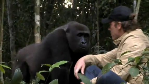 душа у животных, трогательные истории животные, животные доброте истории