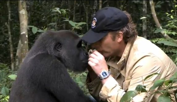 душа у животных, трогательные истории животные, животные доброте истории