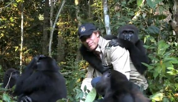 душа у животных, трогательные истории животные, животные доброте истории