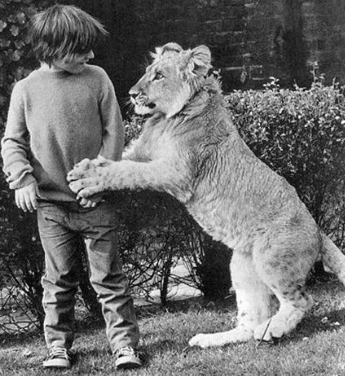 душа у животных, трогательные истории животные, животные доброте истории