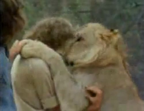 душа у животных, трогательные истории животные, животные доброте истории