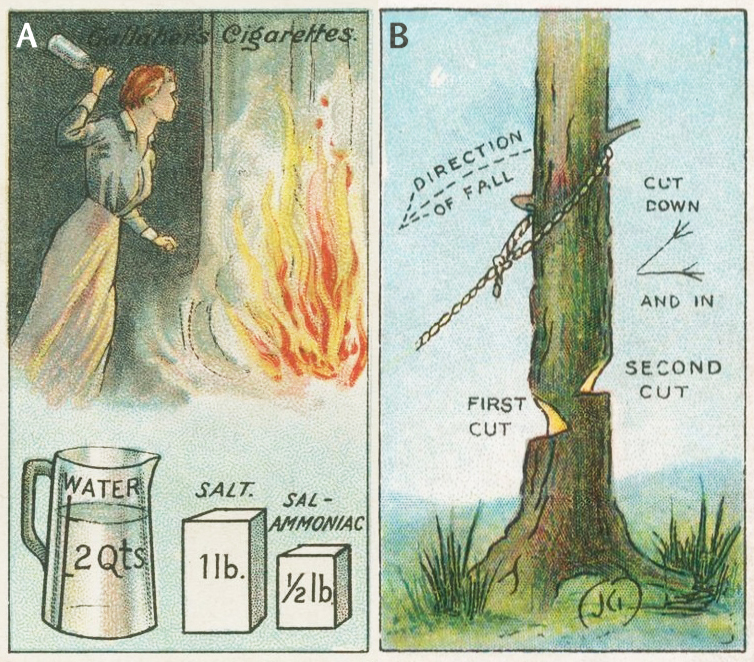 How To Ogdens and Gallaher's