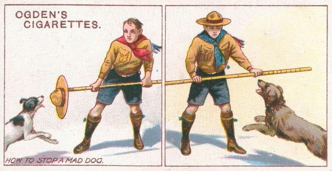 How To Ogdens and Gallaher's