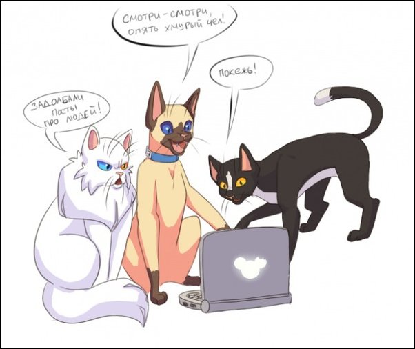 Тем временем в параллельной вселенной в параллельной вселенной