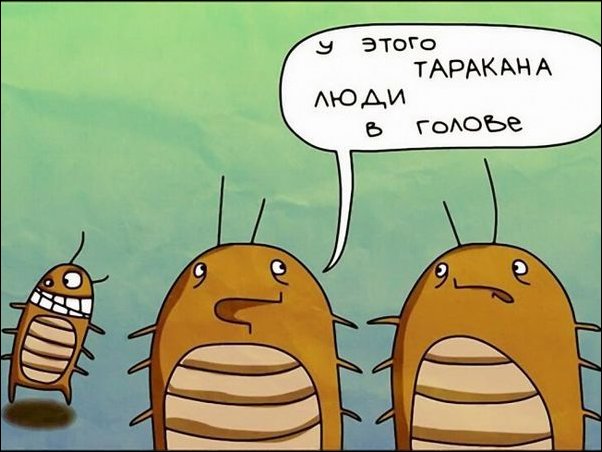 Тем временем в параллельной вселенной в параллельной вселенной