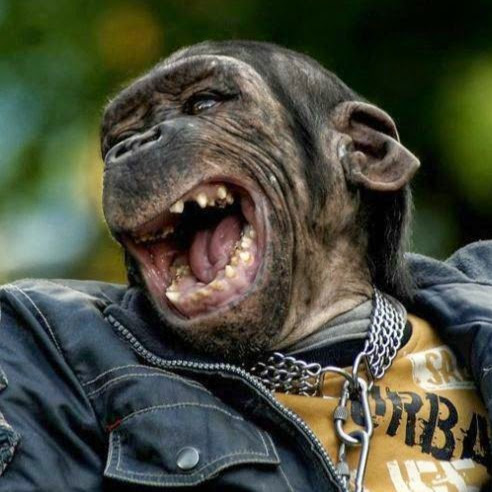 Удивительные малоизвестные факты обо всём на свете, которые станут для вас открытием факты обо всём, познавательные факты