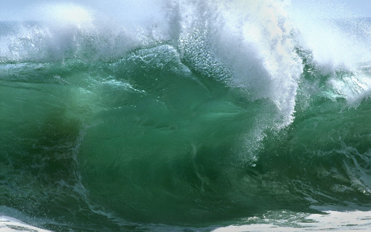 Удивительные малоизвестные факты обо всём на свете, которые станут для вас открытием факты обо всём, познавательные факты