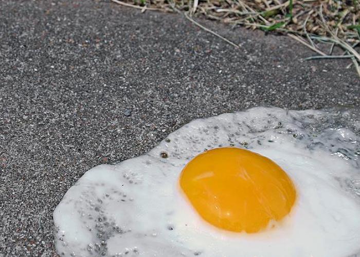 Удивительные малоизвестные факты обо всём на свете, которые станут для вас открытием факты обо всём, познавательные факты