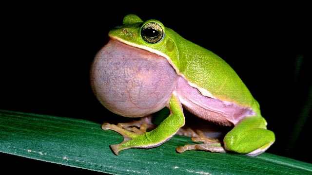 Удивительные малоизвестные факты обо всём на свете, которые станут для вас открытием факты обо всём, познавательные факты