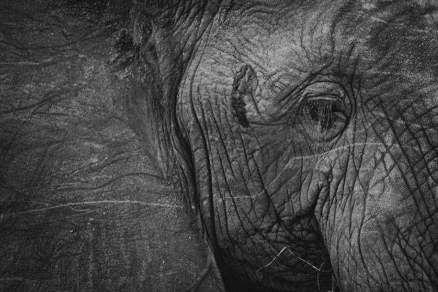 Удивительные малоизвестные факты обо всём на свете, которые станут для вас открытием факты обо всём, познавательные факты