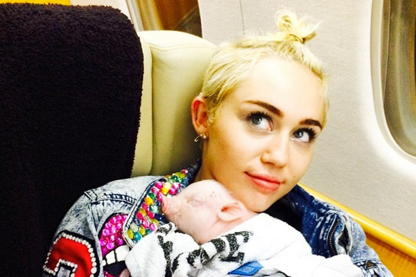 звёзды и их питомцы, звёзды голливуда с домашними животными