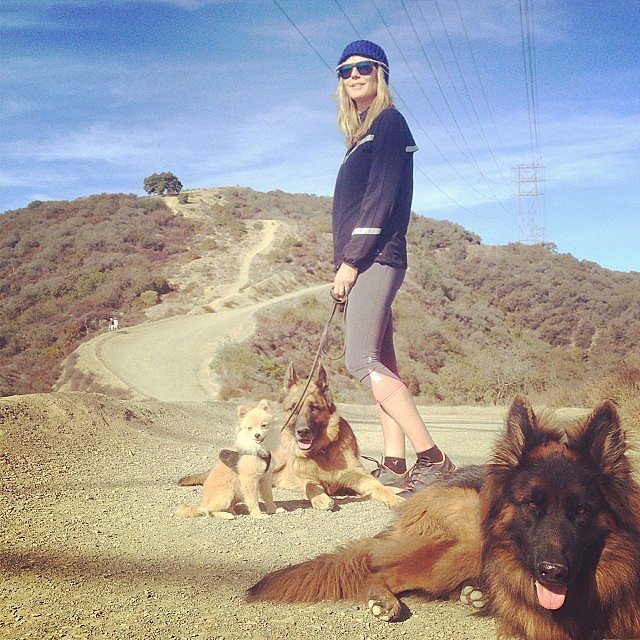 звёзды и их питомцы, звёзды голливуда с домашними животными