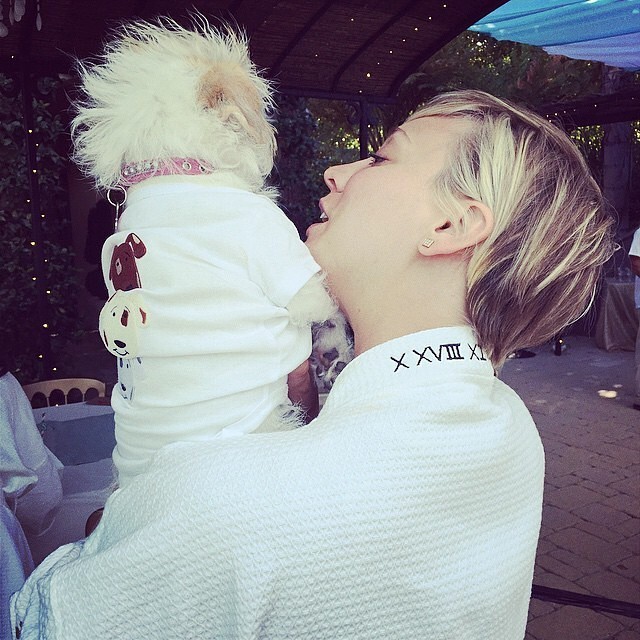 звёзды и их питомцы, звёзды голливуда с домашними животными