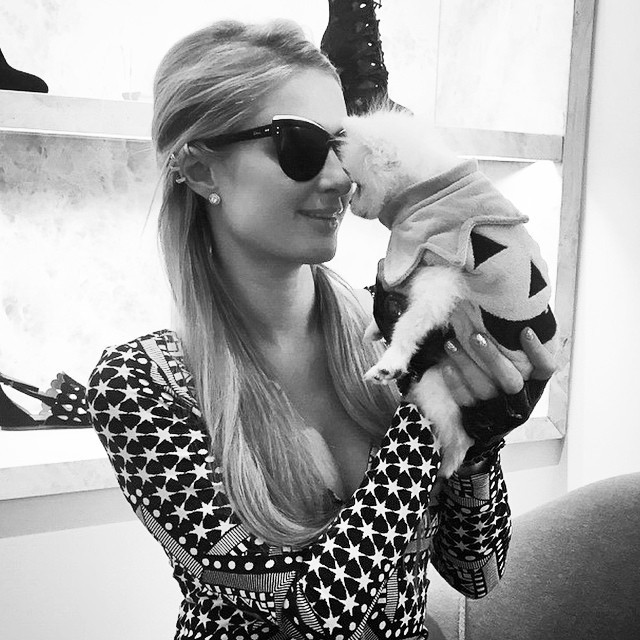 звёзды и их питомцы, звёзды голливуда с домашними животными