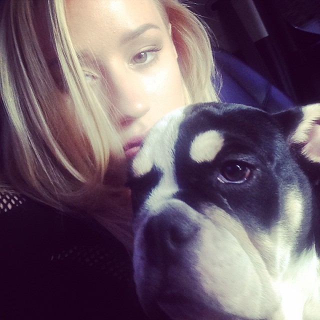 звёзды и их питомцы, звёзды голливуда с домашними животными