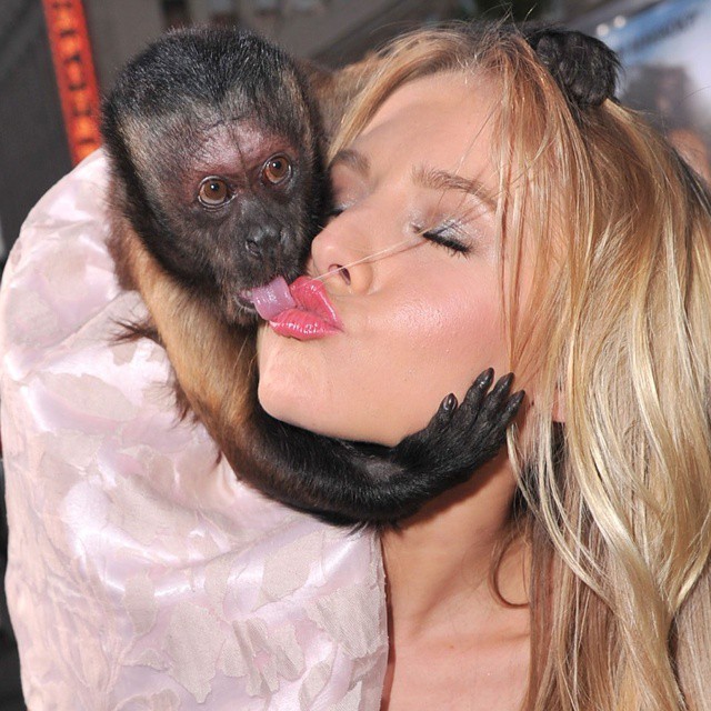 звёзды и их питомцы, звёзды голливуда с домашними животными