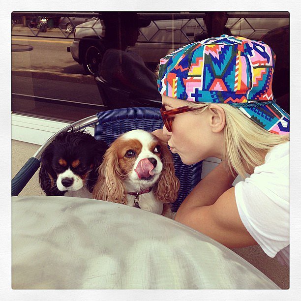 звёзды и их питомцы, звёзды голливуда с домашними животными