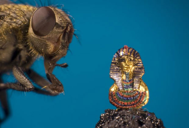 микро скульптуры в игольном ушке, крошечные скульптуры игольное ушко, Уилларда Уигана, Willard Wigan