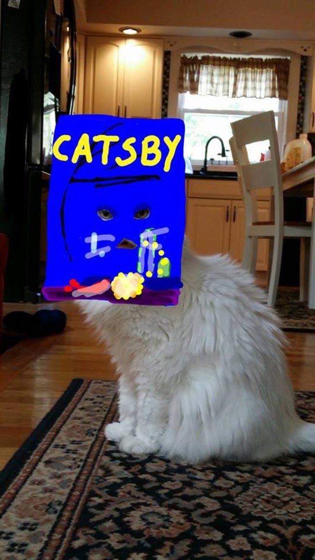 кошки пародии на персонажей, кошки пародии на фильмы