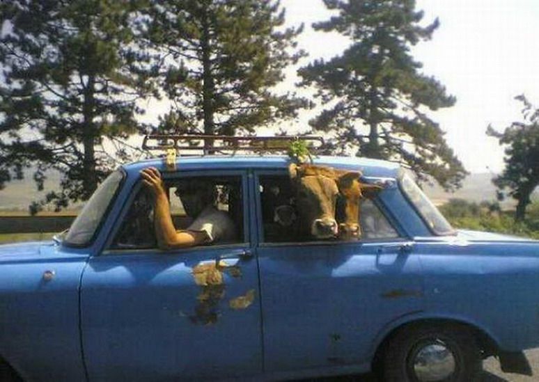 умом россию не понять, угадай страну, россия удивительная страна