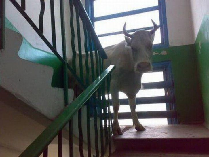 умом россию не понять, угадай страну, россия удивительная страна