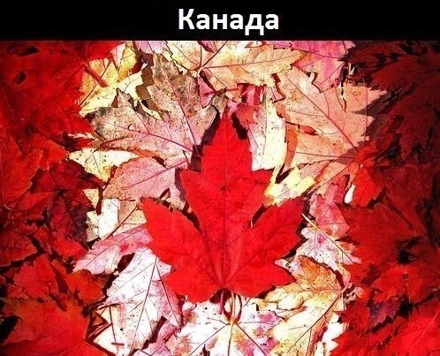 Флаги, стран, созданны, природой