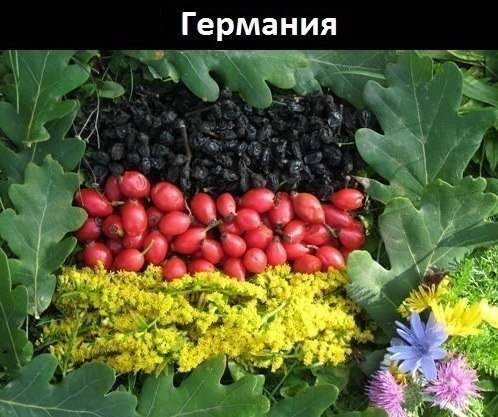 Флаги, стран, созданны, природой