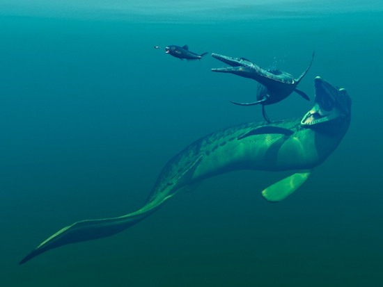 животные, открыты, недавно, в последнее время, ученые