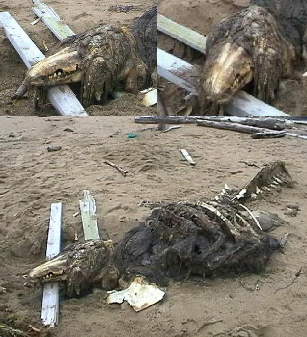 10 жутких историй-страшилок гуляющих по интернету крипипаста, интернет страшилки, страшные истории