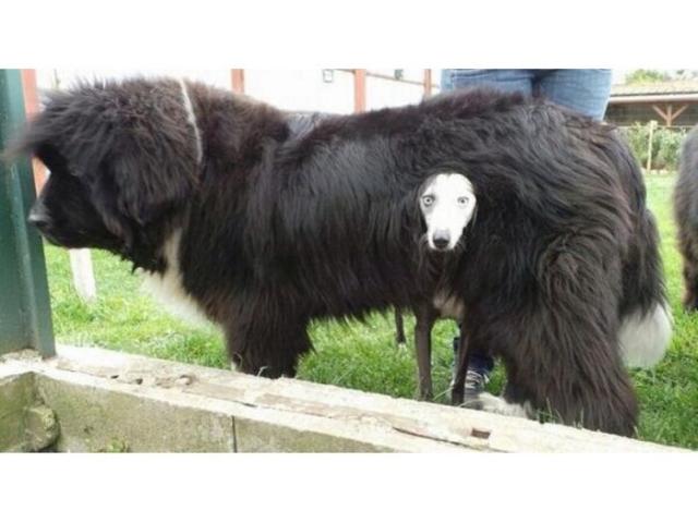 Позитив, юмор, смешные фотографии,прикол