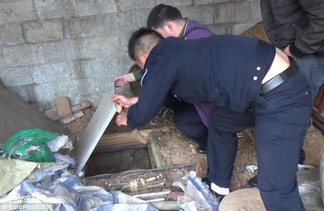 Lin Dajun, китаец держал в подвале жену, пленница