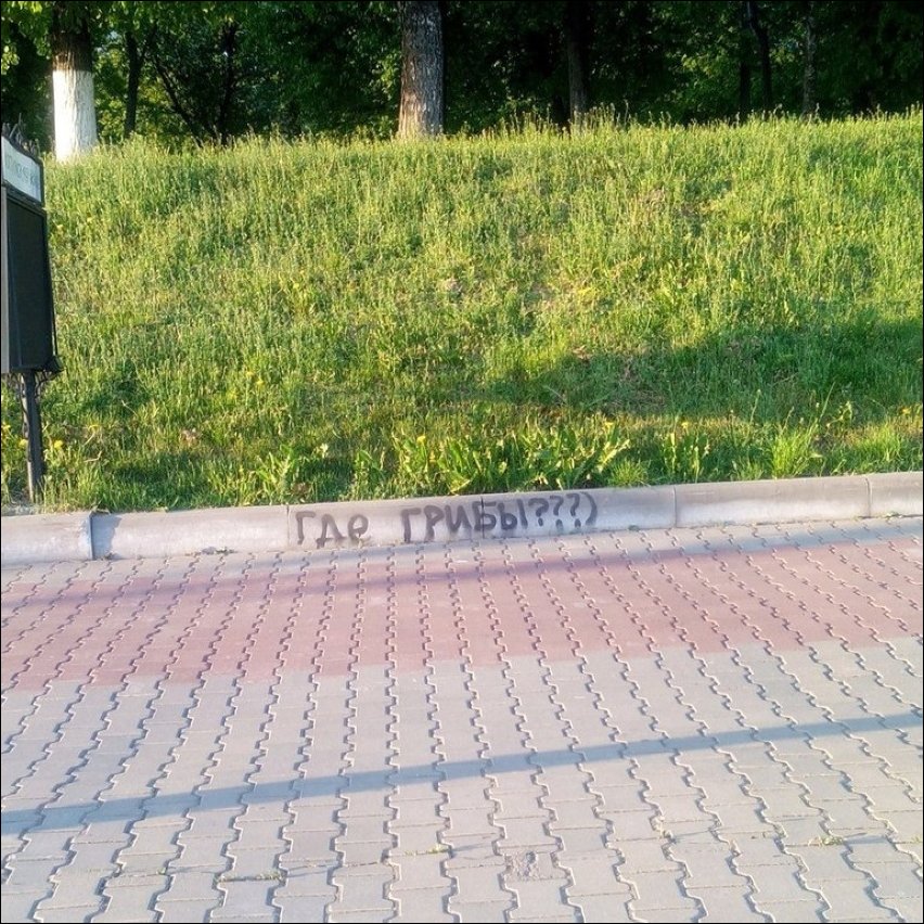 смешные надписи и объявления, маразмы