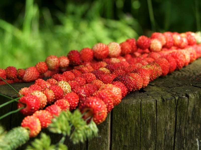 вещи, которые помогут сделать лето незабываемым, нужно сделать летом