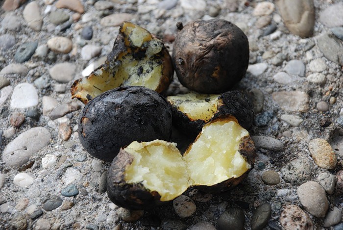 вещи, которые помогут сделать лето незабываемым, нужно сделать летом