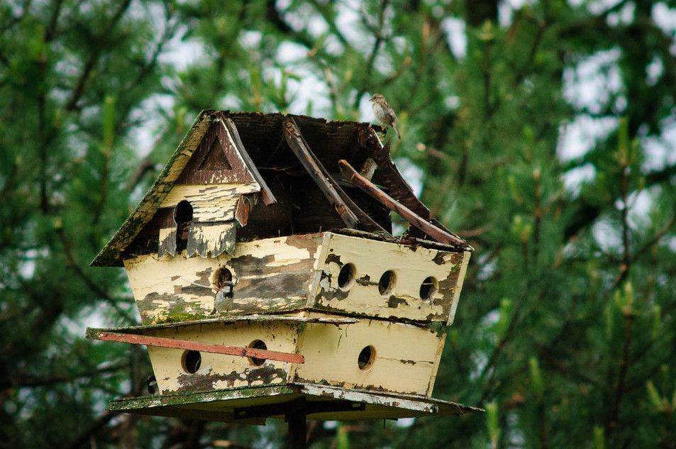 град Небраска, последствия града Небраска, град теннисный мяч