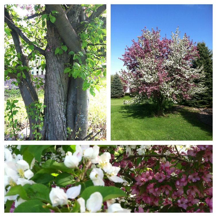 Фотографии удивительных вещей, которые можно увидеть раз в жизни вещи раз в жизни, удивительные вещи, необычные явления, редкие фотографии